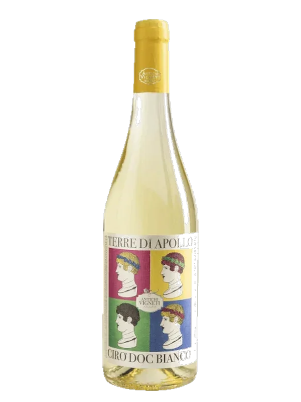 Bouteille Ciro Terre di Appolo – Antichi Vigneti Sculco