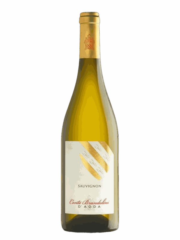 Bouteille Sauvignon – Brandolini