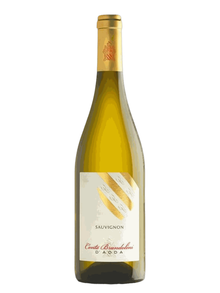 Bouteille Sauvignon – Brandolini